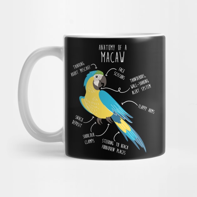 Blue and Gold Macaw Parrot Anatomy by Psitta